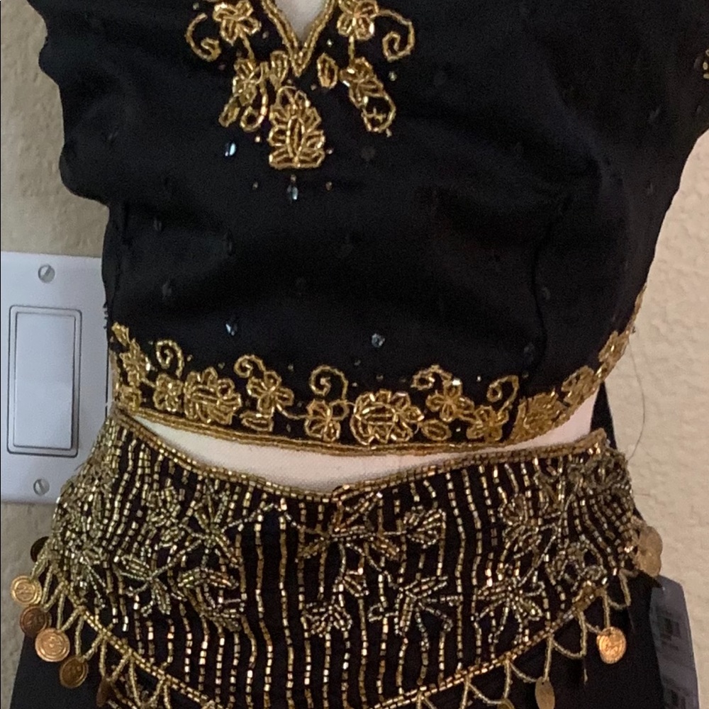 Super Cute Halloween Costume Belly Dancer/ Gypsy - Picture 2 of 3